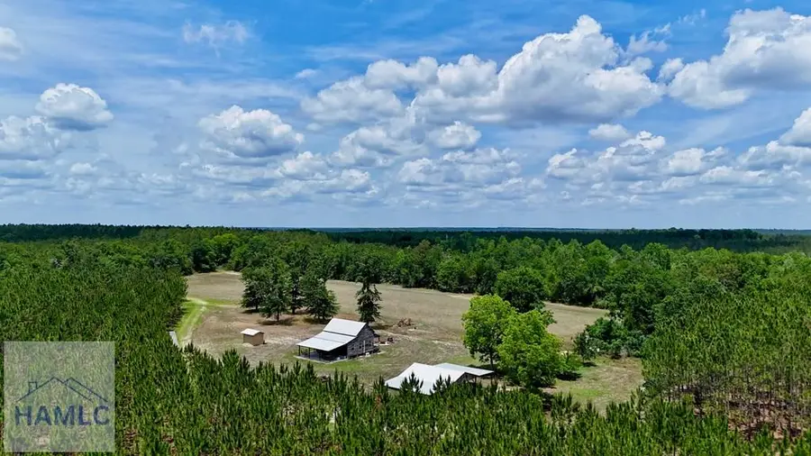 0 Neily Wagon Road, McRae, GA 31055 - #2