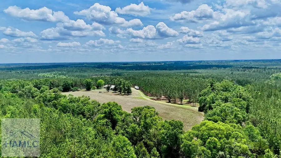 0 Neily Wagon Road, McRae, GA 31055 - #3