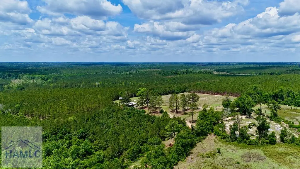 0 Neily Wagon Road, McRae, GA 31055 - #1
