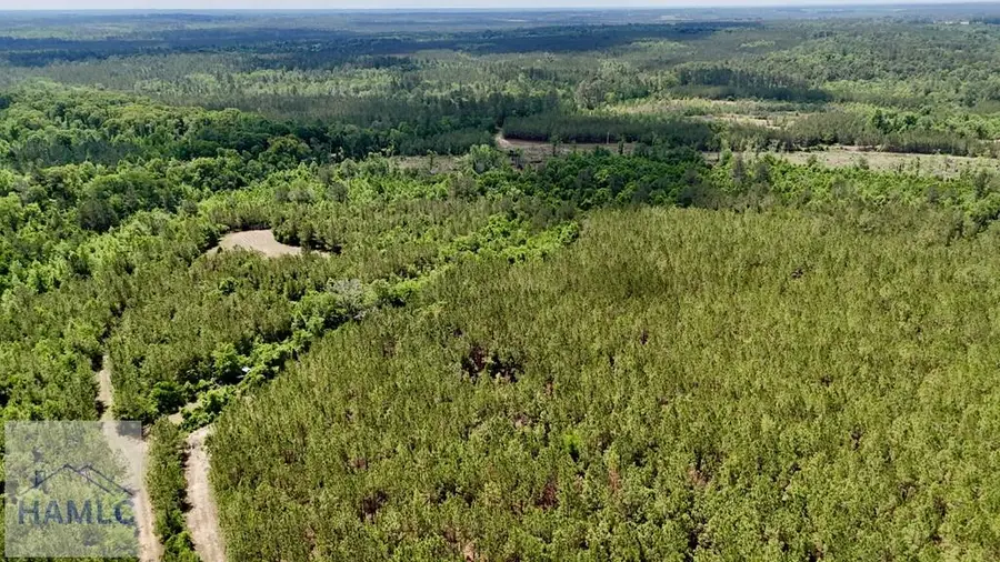 0 Neily Wagon Road, McRae, GA 31055 - #2