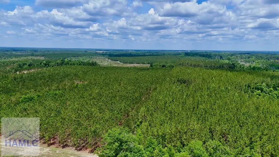 0 Neily Wagon Road, McRae, GA 31055 - #3