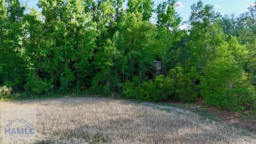 Tract 1 Kennedy Lane, Baxley, GA 31513 - #2