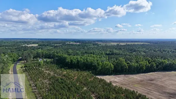 Tract 2 Oscar Tippins Road, Baxley, GA 31513