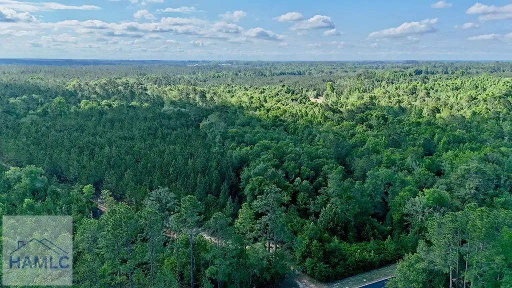 Tract 3 Oscar Tippins Road, Baxley, GA 31513 - #1
