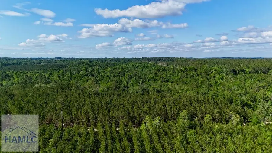 Tract 3 Oscar Tippins Road, Baxley, GA 31513 - #3
