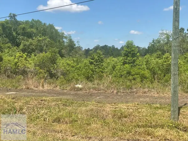 16-17-18 Wayenda Court, Jesup, GA 31545