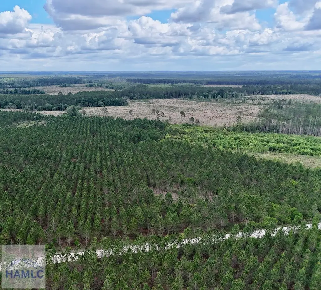 0 Owens Road, Odum, GA 31555 - #1