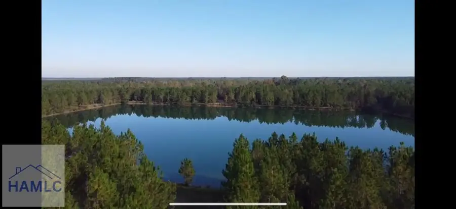 LOT 7 Hwy 341, Odum, GA 31555 - #3