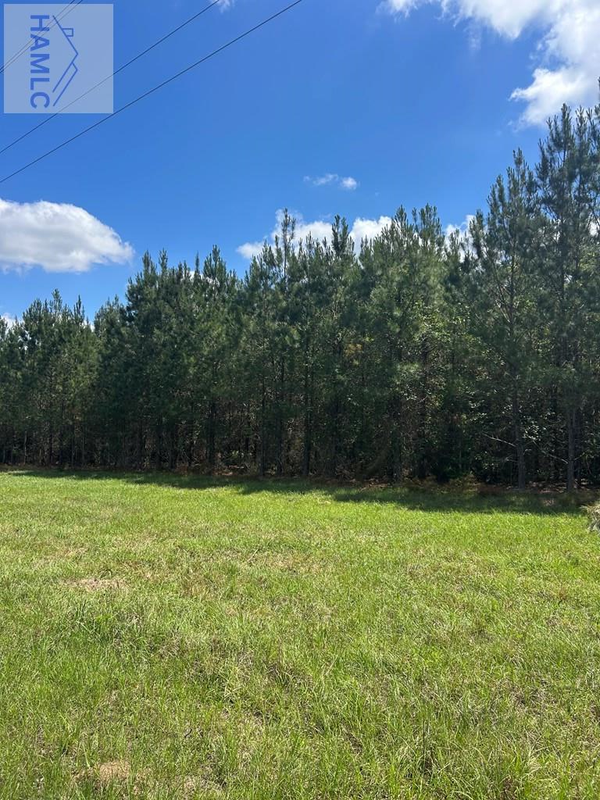 10 AC Marietta Street, Glennville, GA 30427