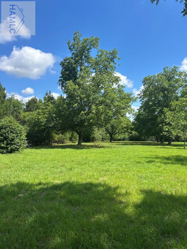 14 AC Barnard Street, Glennville, GA 30427