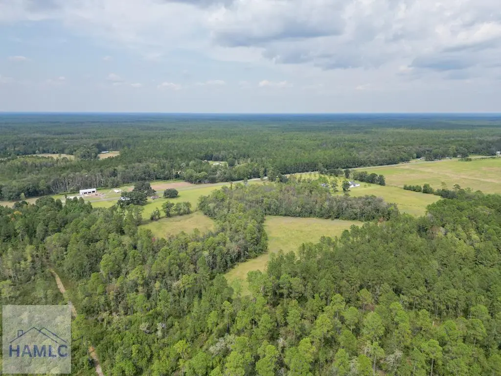 15 Acres Hodges Road, Hinesville, GA 31313 - #1