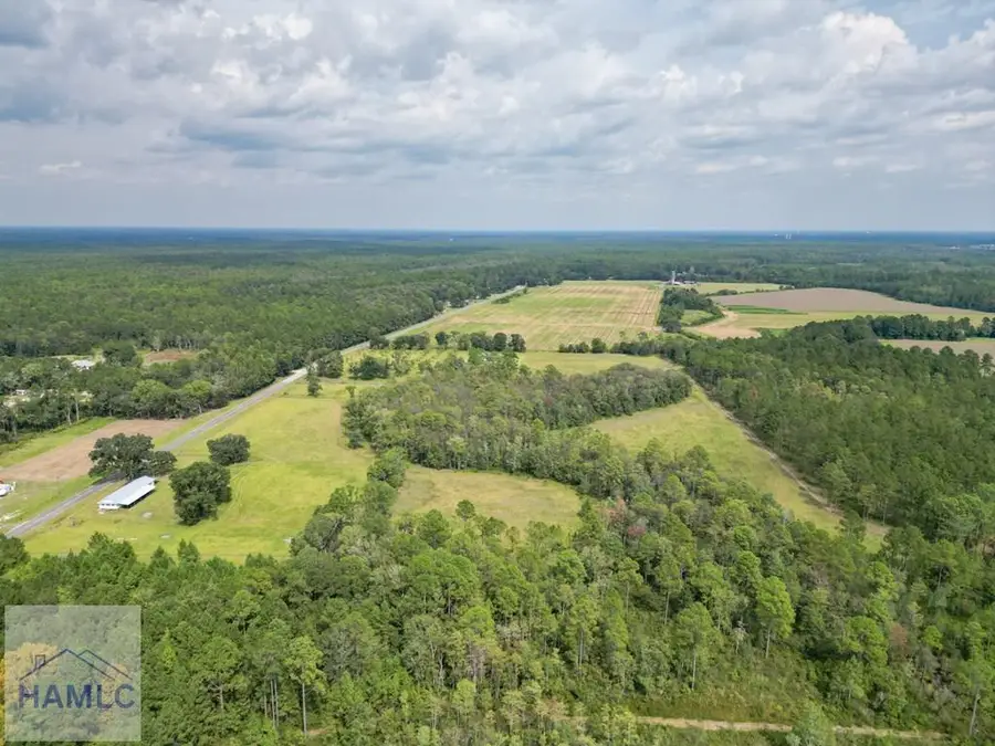 15 Acres Hodges Road, Hinesville, GA 31313 - #2
