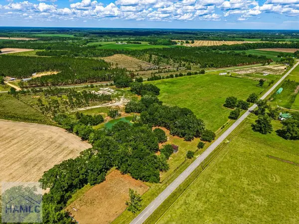 0 Ritch Church Road, Screven, GA 31560