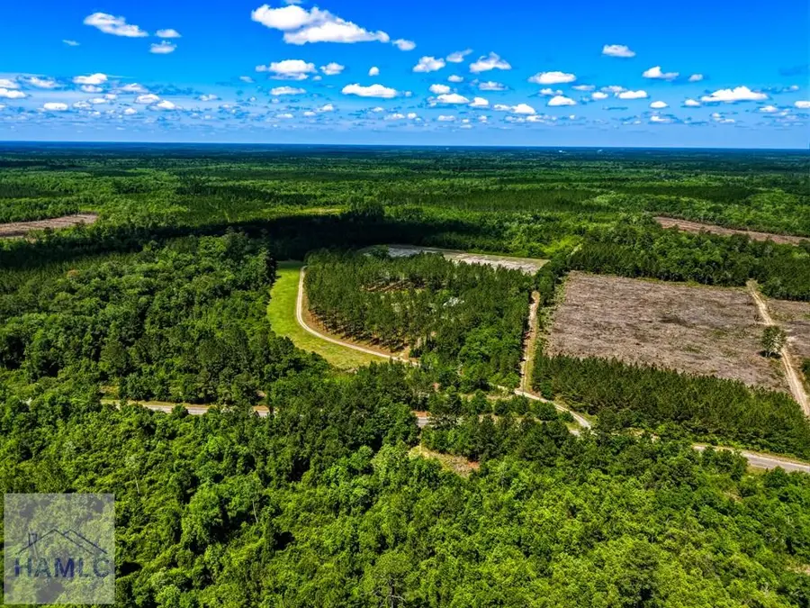 88 Minnesota Road, Screven, GA 31560 - #3