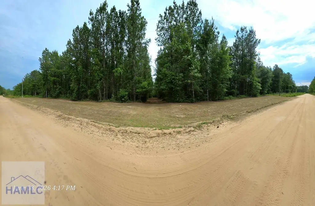 Lot 14 Hillman Drive Se, Ludowici, GA 31316 - #1
