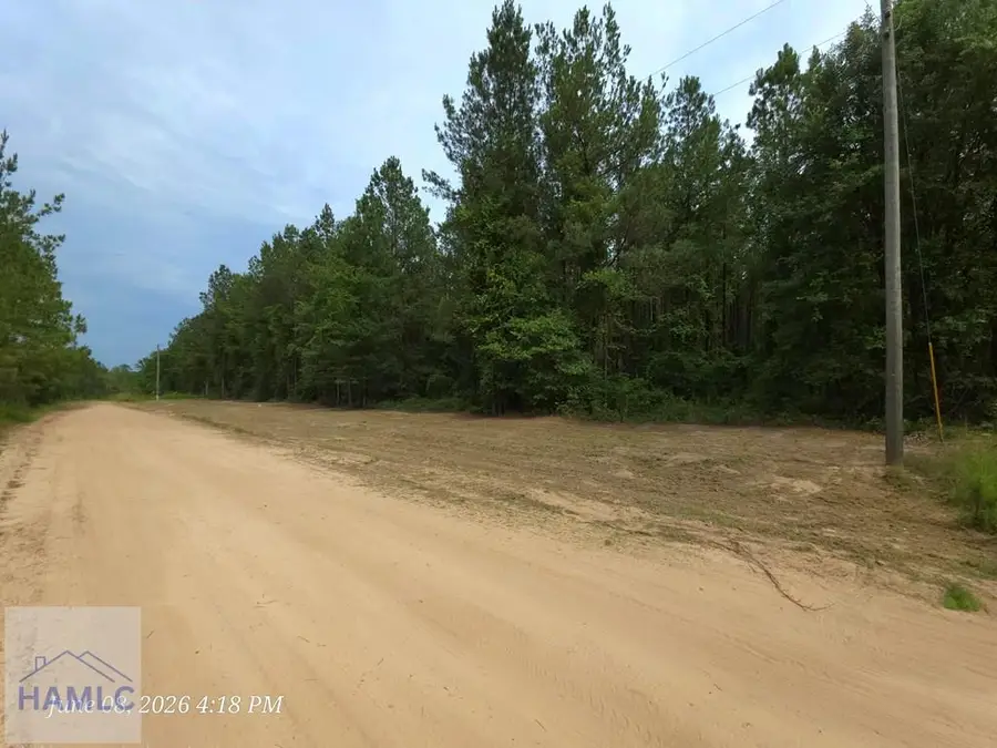 Lot 14 Hillman Drive Se, Ludowici, GA 31316 - #2