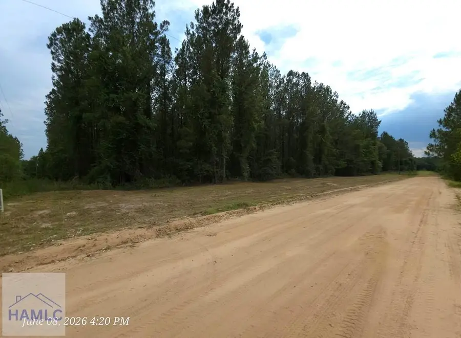 Lot 14 Hillman Drive Se, Ludowici, GA 31316 - #3