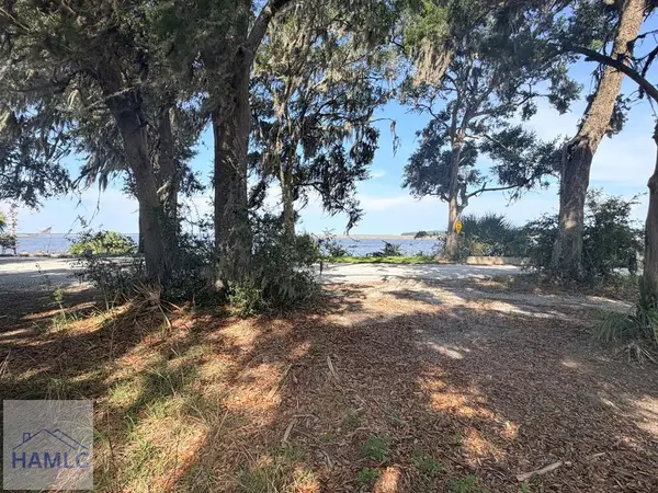 LOT 6 Warnell Drive, Richmond Hill, GA 31324