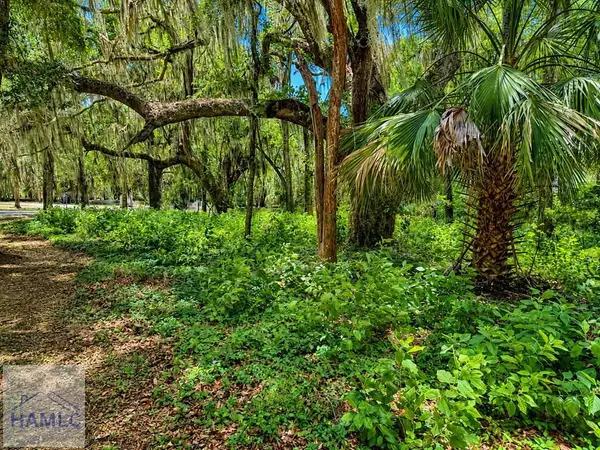 73 Tolomato Island Drive, Townsend, GA 31305