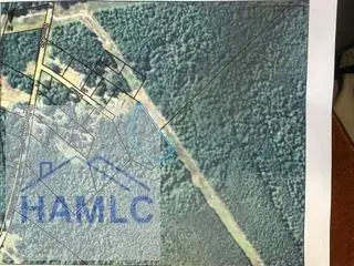 2 Acres Railroad Avenue, Alamo, GA 30411 - #1