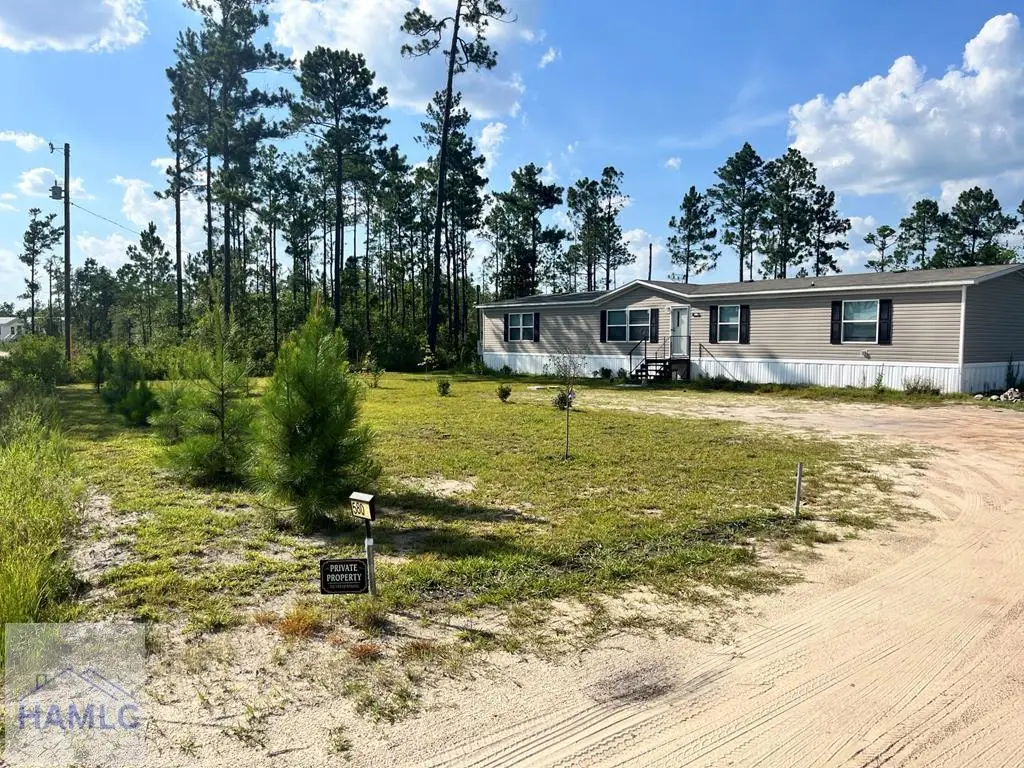 580 Tower Road, Ludowici, GA 31316 - #1