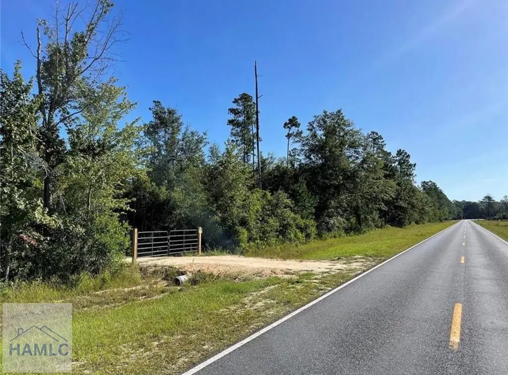 1421 River Road, Jesup, GA 31546 - #1
