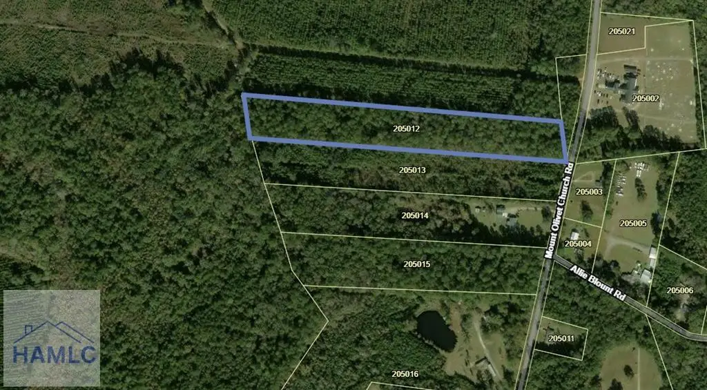 LOT 12 Mount Olivet Church Road, Fleming, GA 31309 - #1