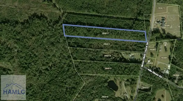 LOT 12 Mount Olivet Church Road, Fleming, GA 31309