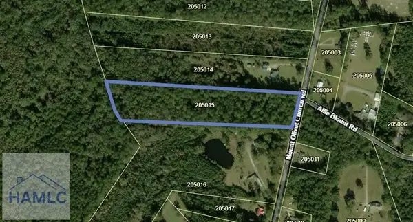 LOT 15 Mount Olivet Church Road, Fleming, GA 31309