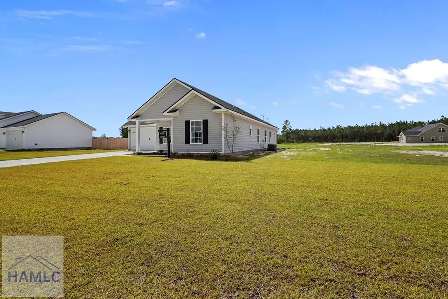 283 Freshwater Lane, Ludowici, GA 31316 - #3