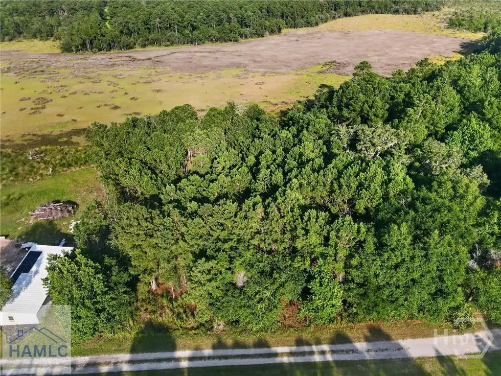 Lot #23 Barnstorm Road, Townsend, GA 31331 - #1