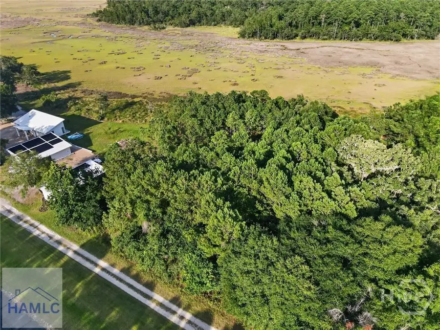 Lot #23 Barnstorm Road, Townsend, GA 31331 - #2
