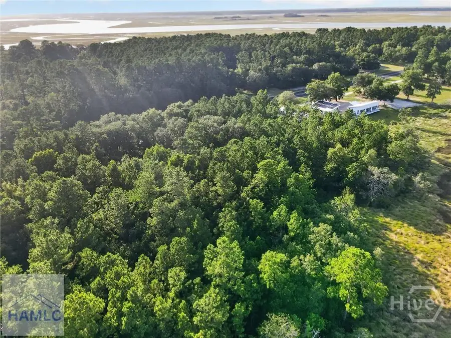 Lot #23 Barnstorm Road, Townsend, GA 31331 - #3