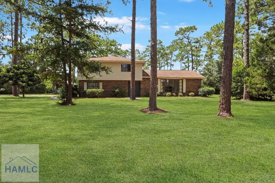 1775 Elim Church Road Ne, Ludowici, GA 31316 - #2