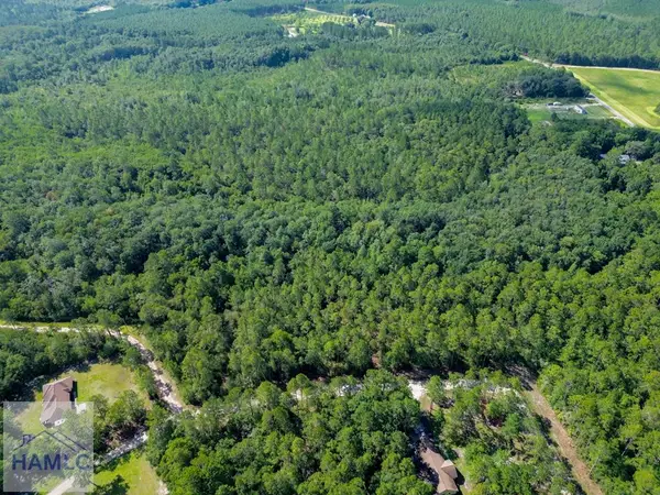 0 Davis Court, Hinesville, GA 31313