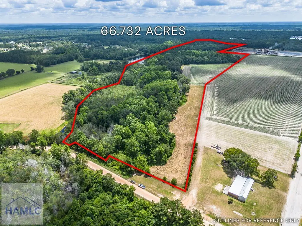 0 Nesbit Road, Odum, GA 31555 - #1