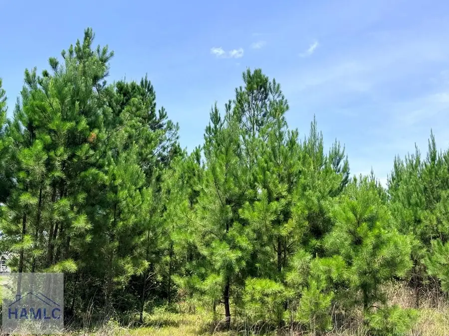 1 Nursery Road, Jesup, GA 31546 - #2
