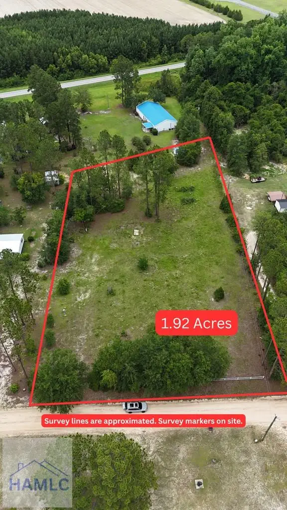 3062 Shalom Drive, Blackshear, GA 31545 - #2