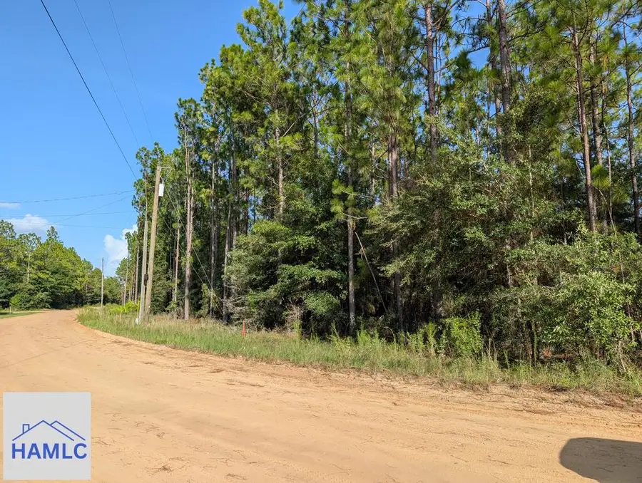 0 Church Circle, Jesup, GA 31545 - #3
