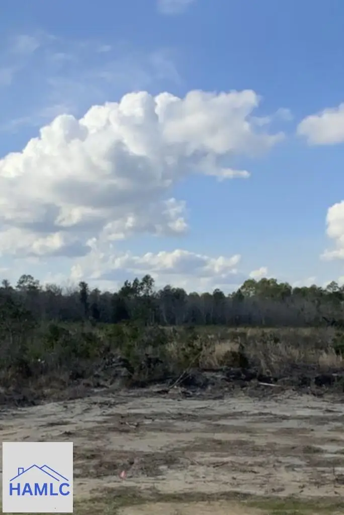 2 Rye Patch Road, Hinesville, GA 31313 - #1