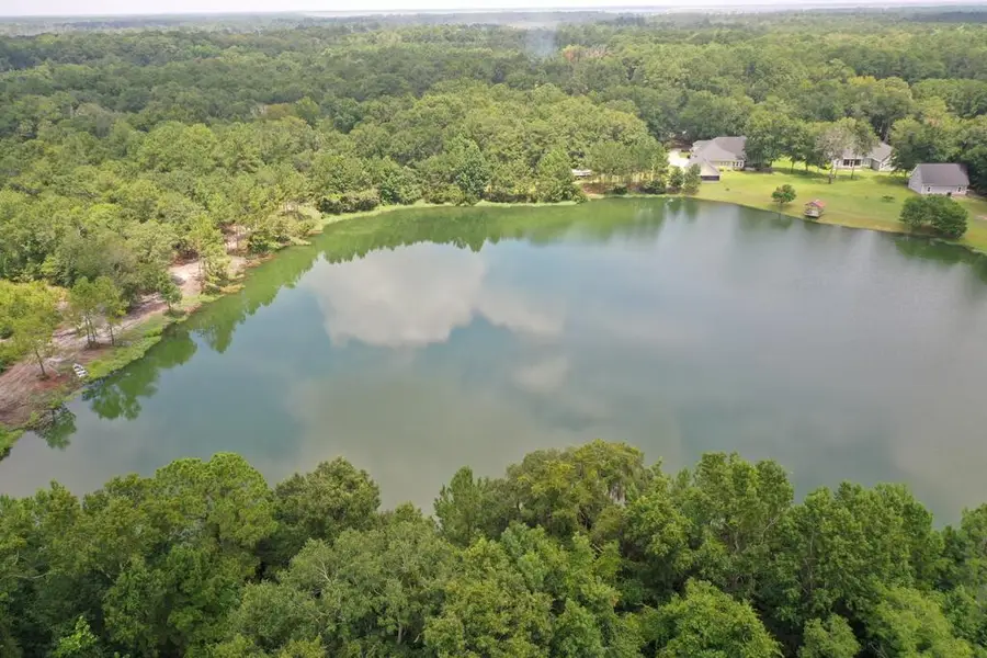 1954 Oak Level Road, Richmond Hill, GA 31324 - #3
