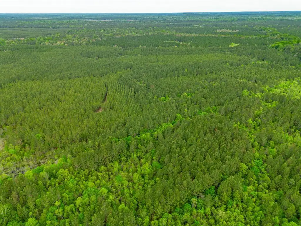 0 Highway 129, Abbeville, GA 31001 - #1