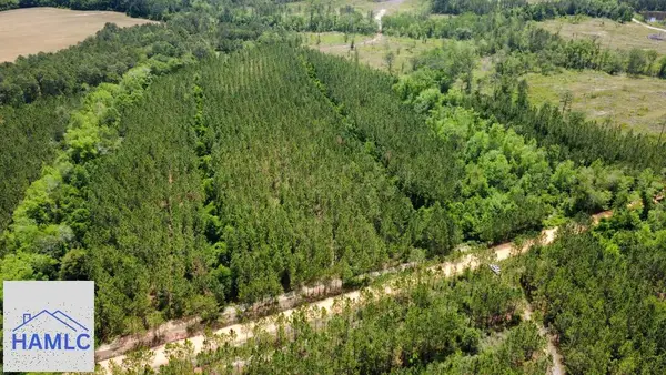 Tract 10 Sunflower Road, Fitzgerald, GA 31750