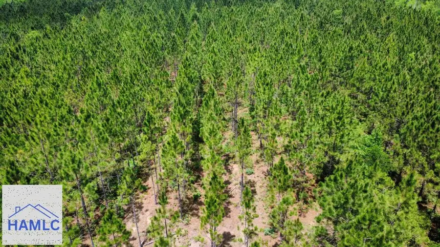 Tract 10 Sunflower Road, Fitzgerald, GA 31750 - #2