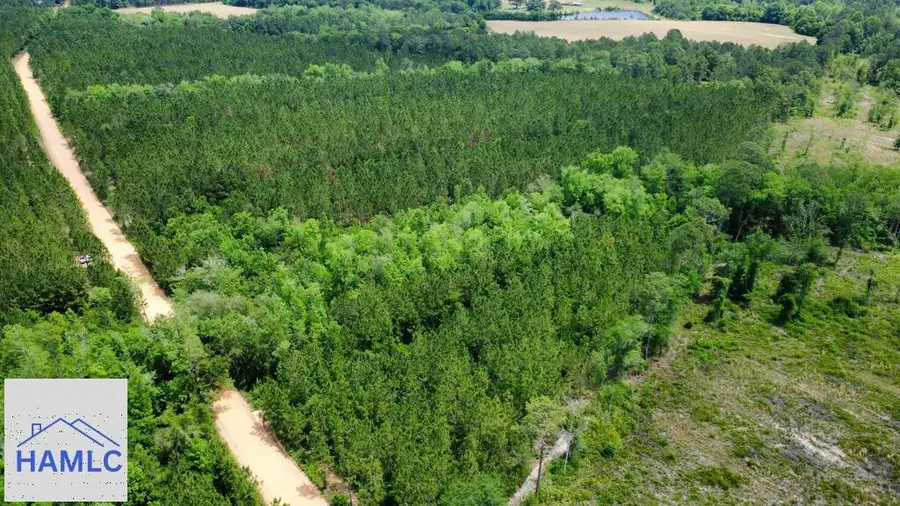 Tract 10 Sunflower Road, Fitzgerald, GA 31750 - #3