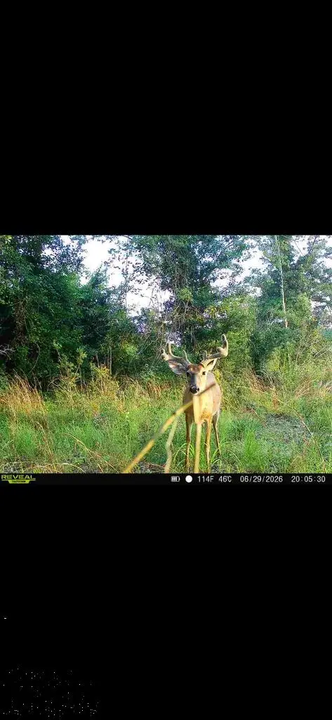 0 Highway 165, Eastman, GA 31023 - #2