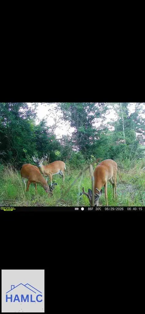 0 Highway 165, Eastman, GA 31023 - #3