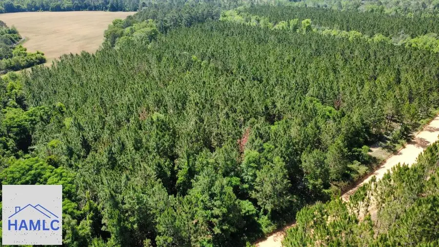 Tract 8 Sunflower Road, Fitzgerald, GA 31750 - #2