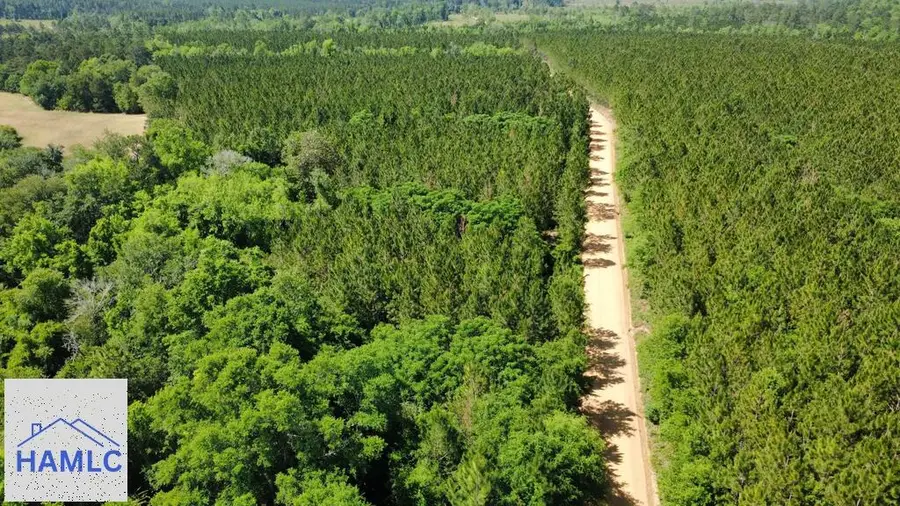 Tract 8 Sunflower Road, Fitzgerald, GA 31750 - #3
