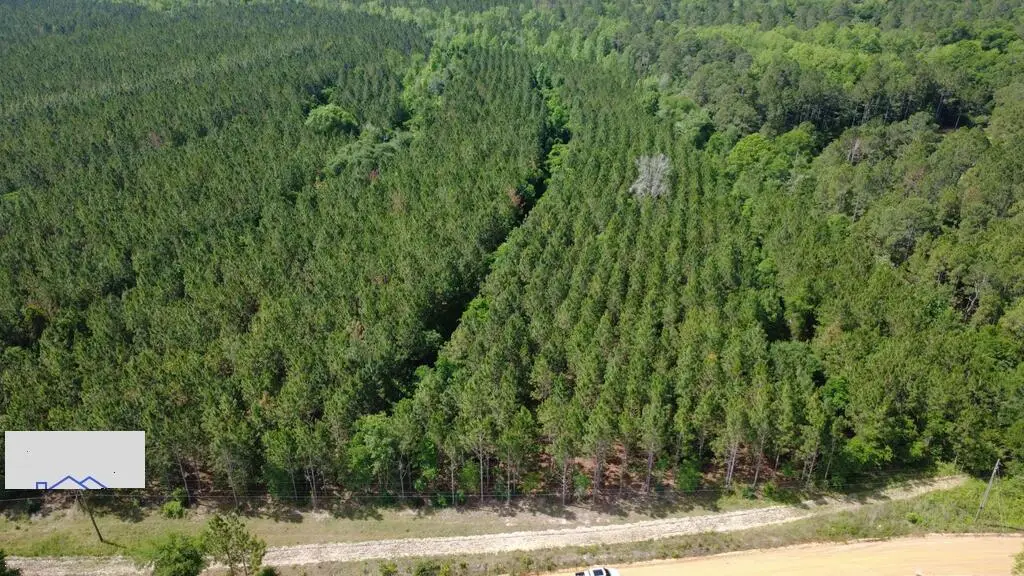 Tract 1 A L Reeve's Road, Fitzgerald, GA 31750 - #1
